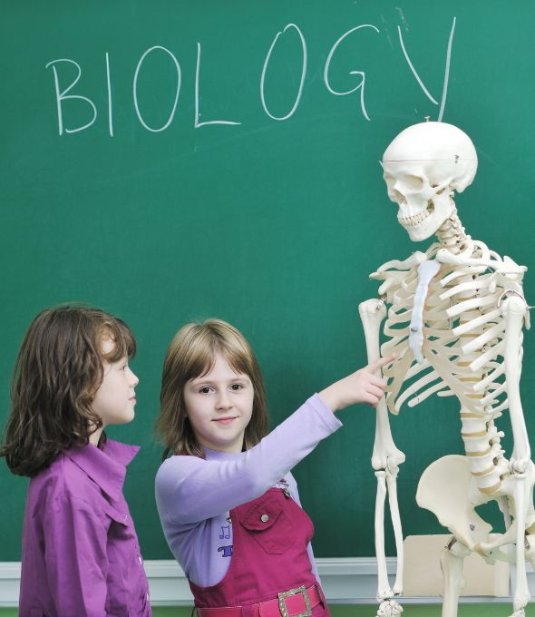 science-biology-tutoring-online-1